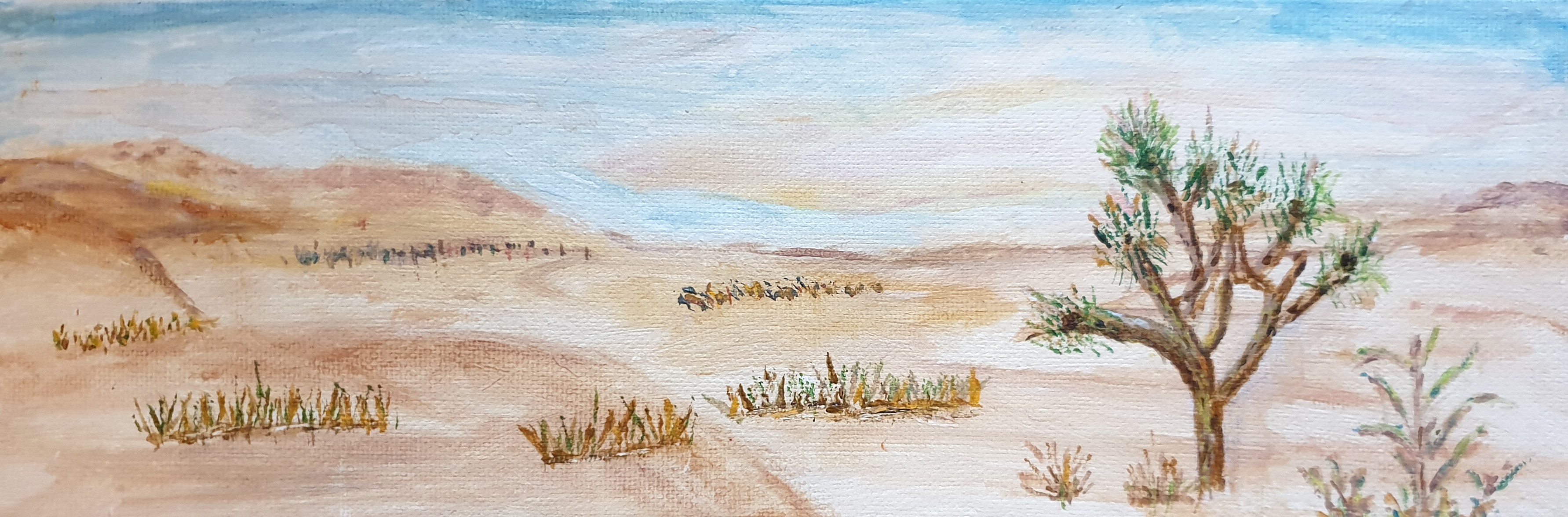 Joshua Tree