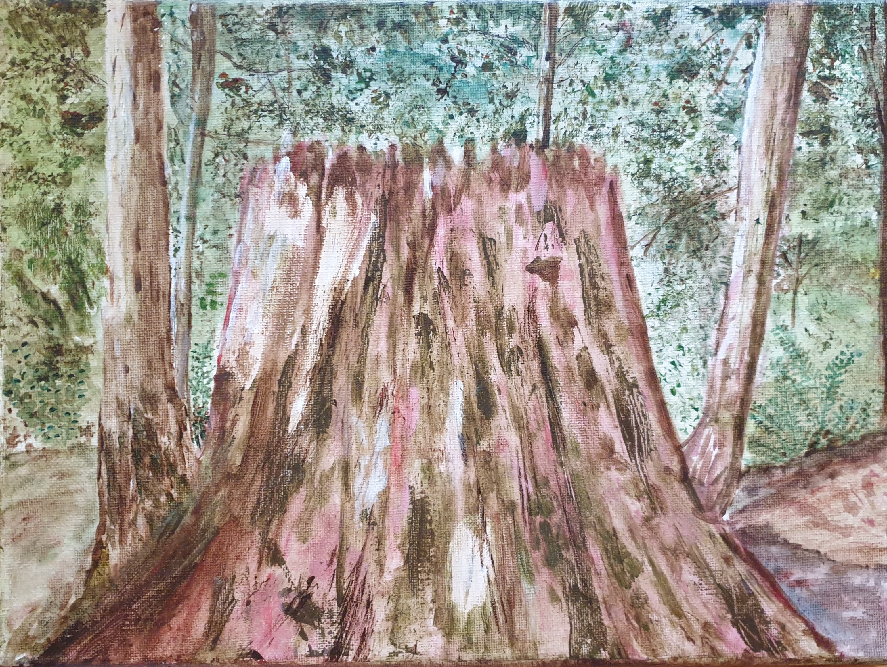 Tree Stump